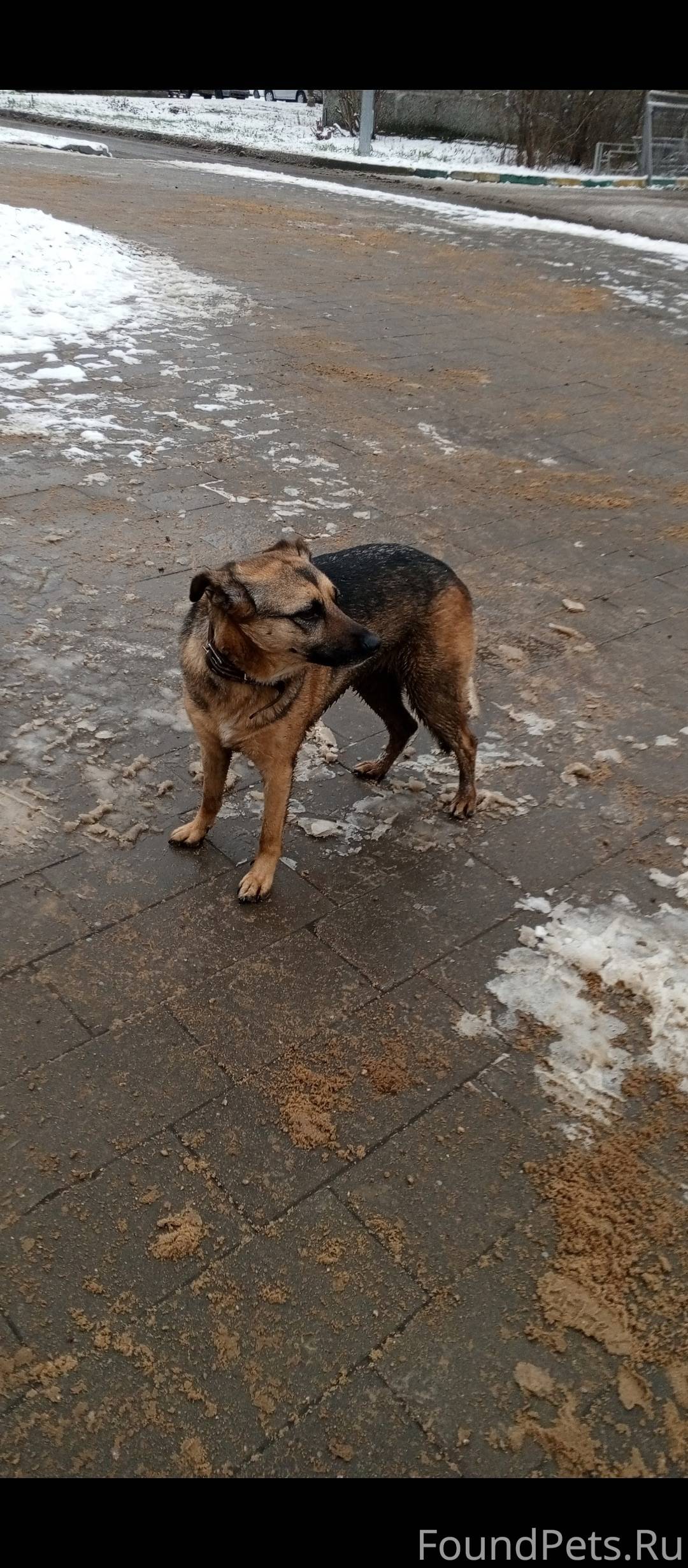 В районе Нижегородской Ярмарки...