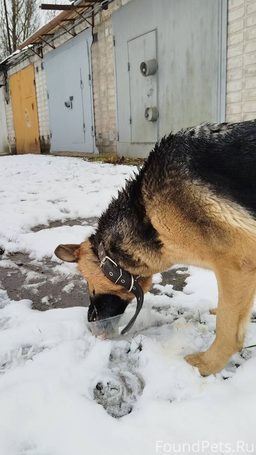 Добрый день. Прошу опубликоват...