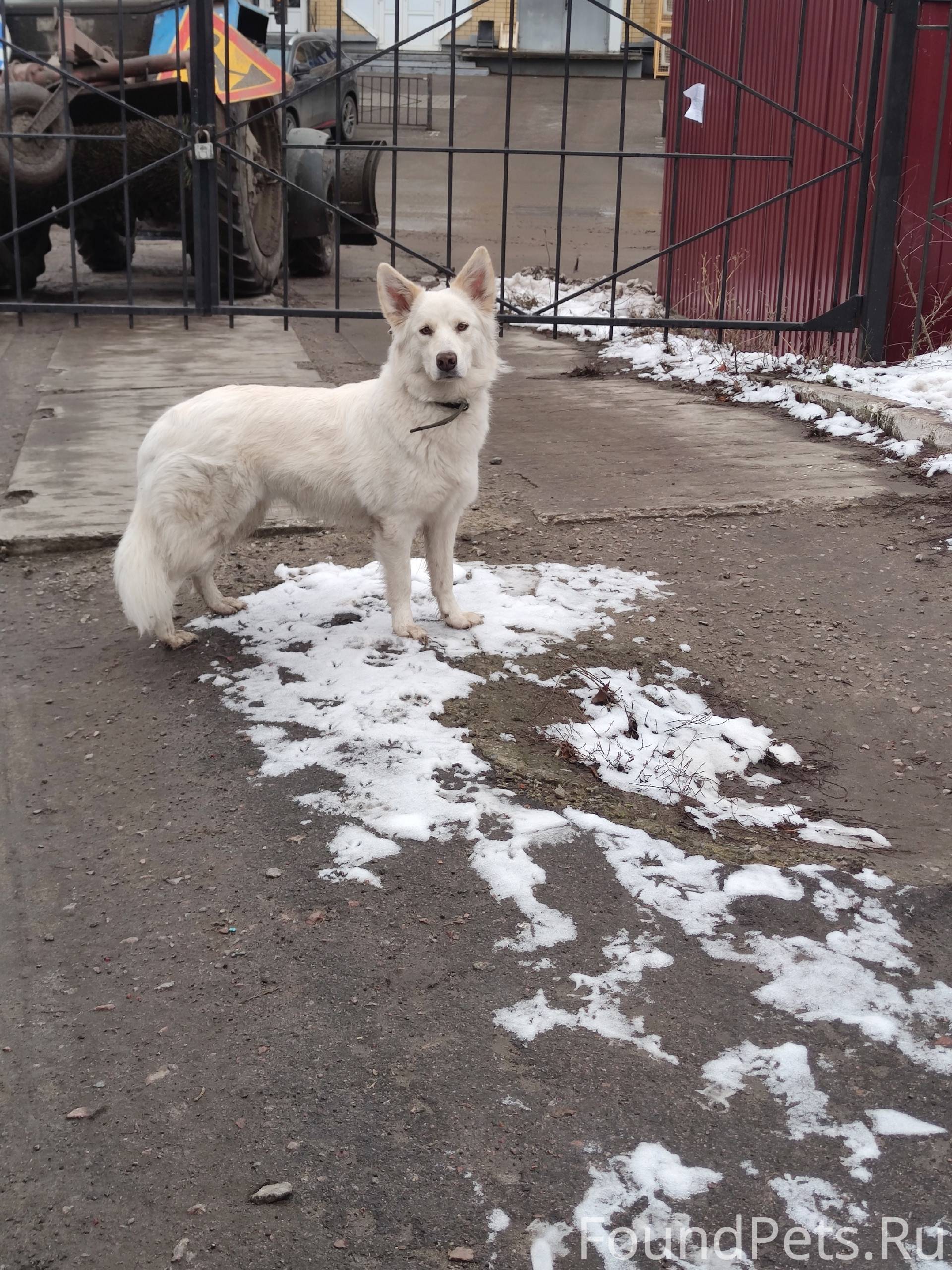 Район ул МОПРа 2а и МОПРа...