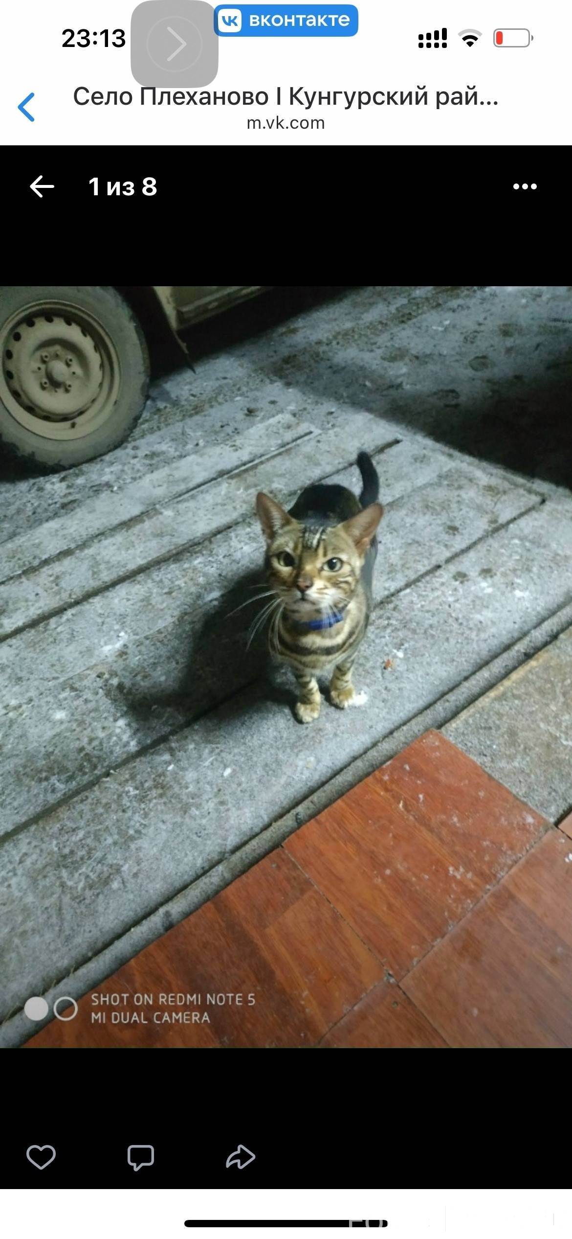 В Рыбхозяйство на Полетаевском...