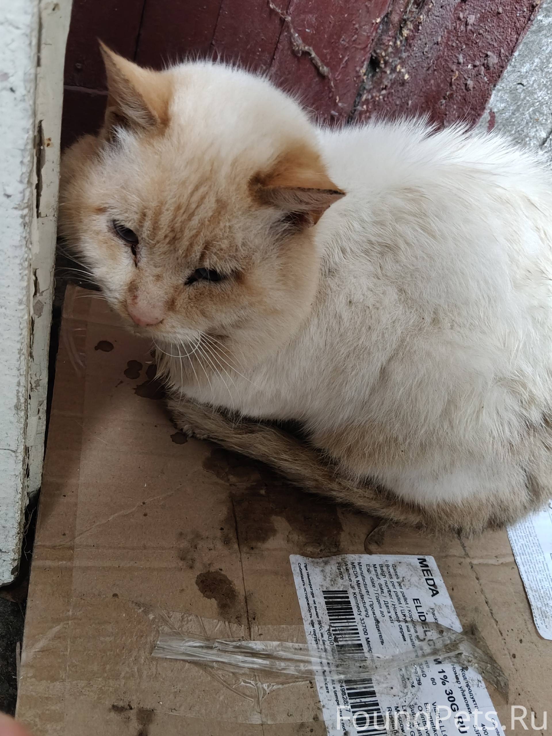 🚨В районе Парка Дружбы найден ...