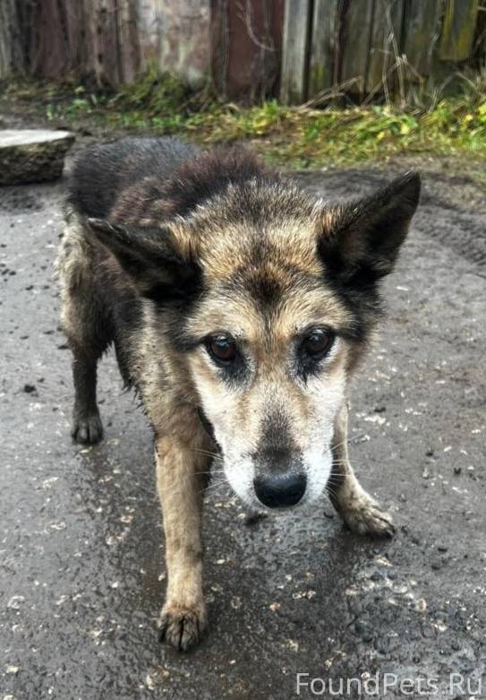 НАЙДЕН / ЗАМЕЧЕН ❗️МЕТИС В БЕД...