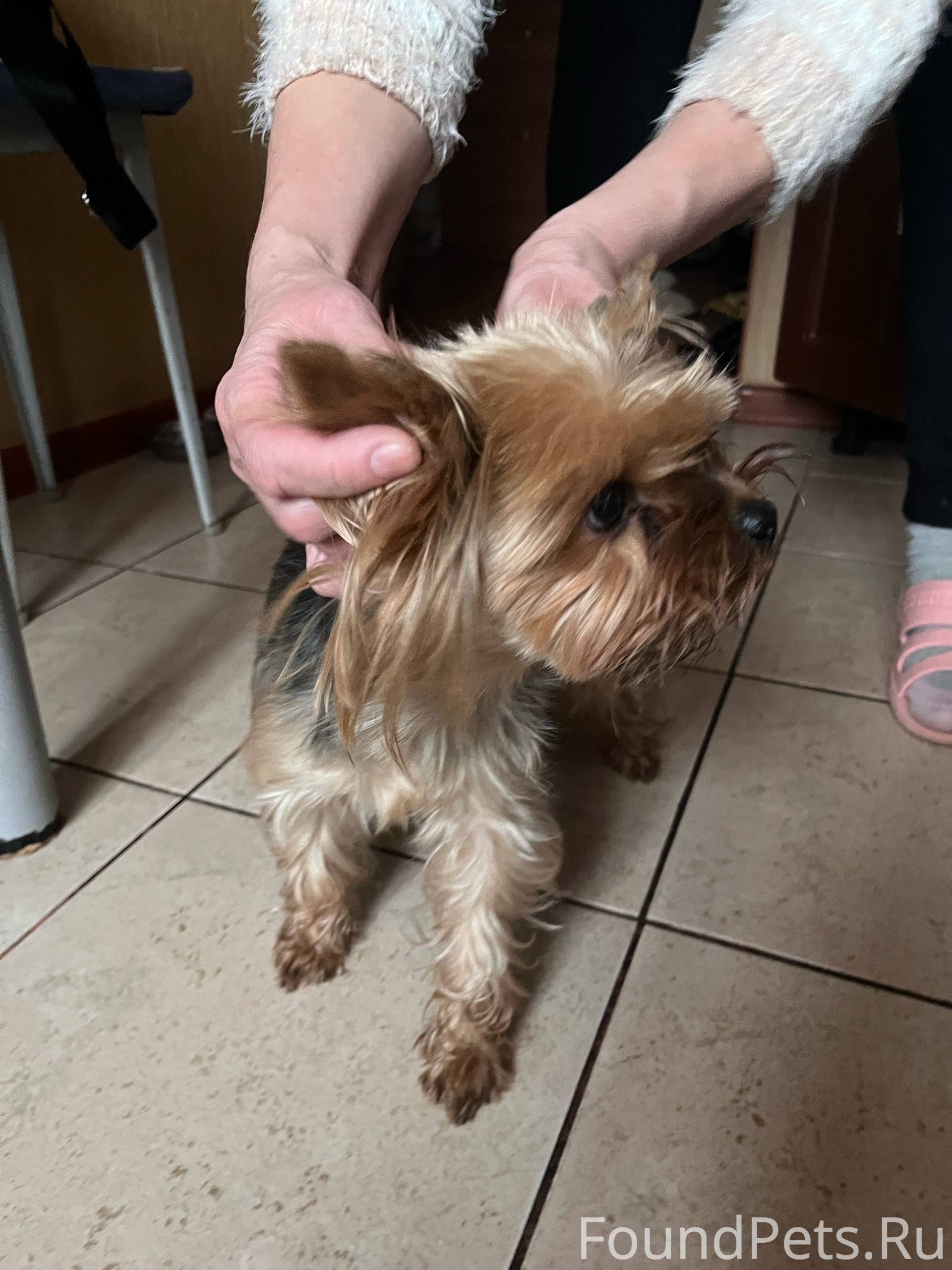 В Нижнем Новгороде, на улице М...