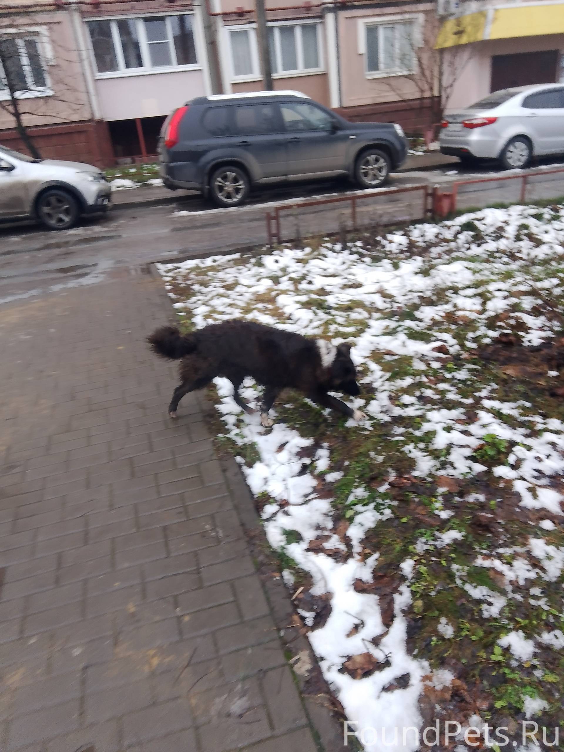 12.12.2025 14:39 Кто...