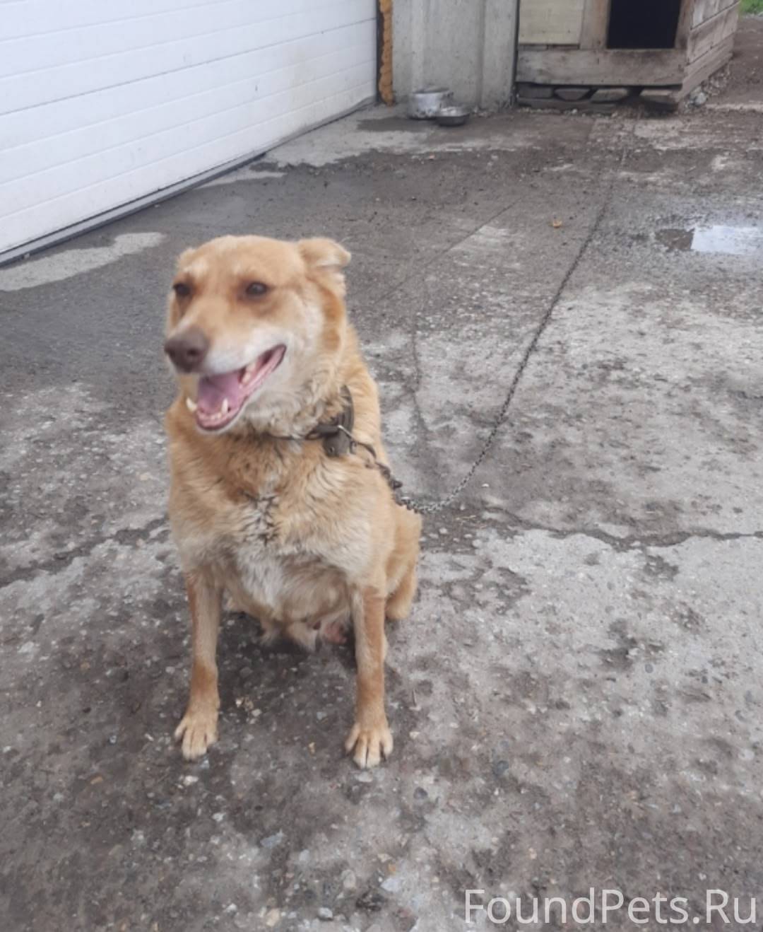 📍ул. Пушкина, г. Искитим Помог...