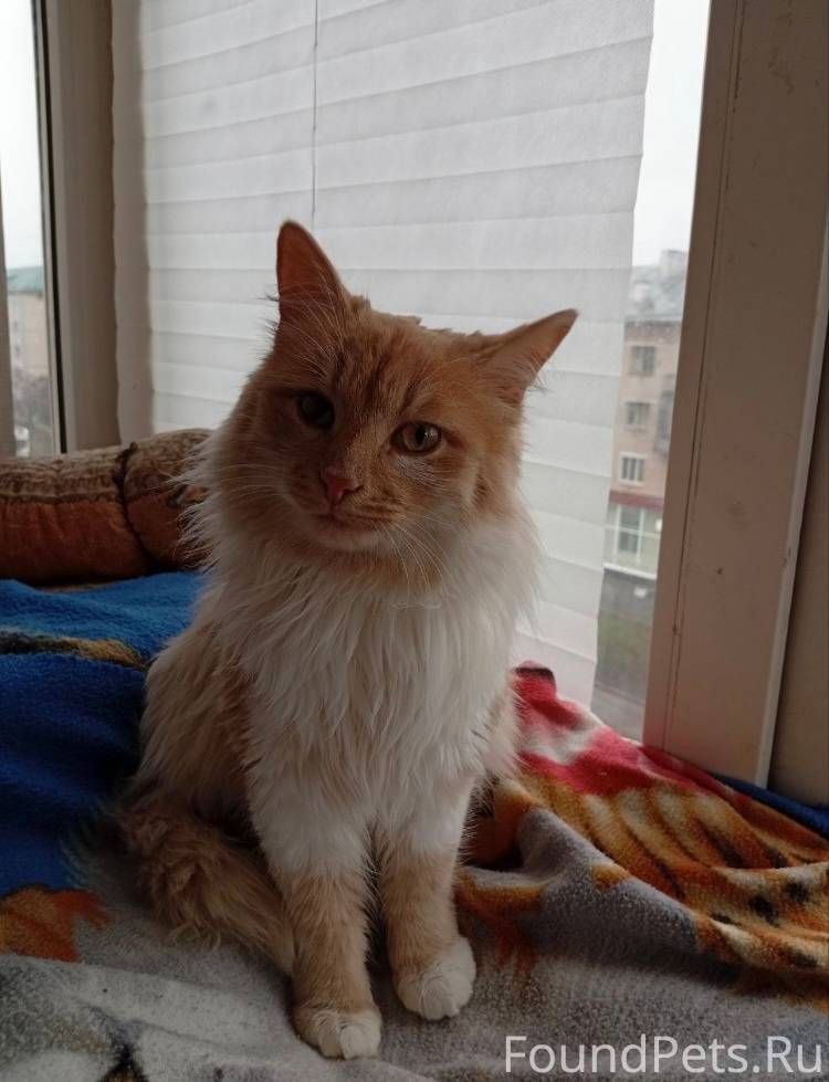 В конце ноября у дома на...