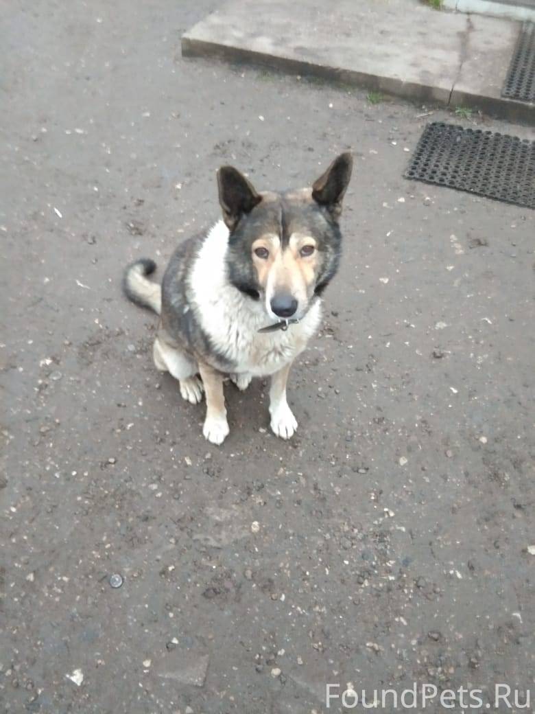 Внимание!!! В конаковский отло...