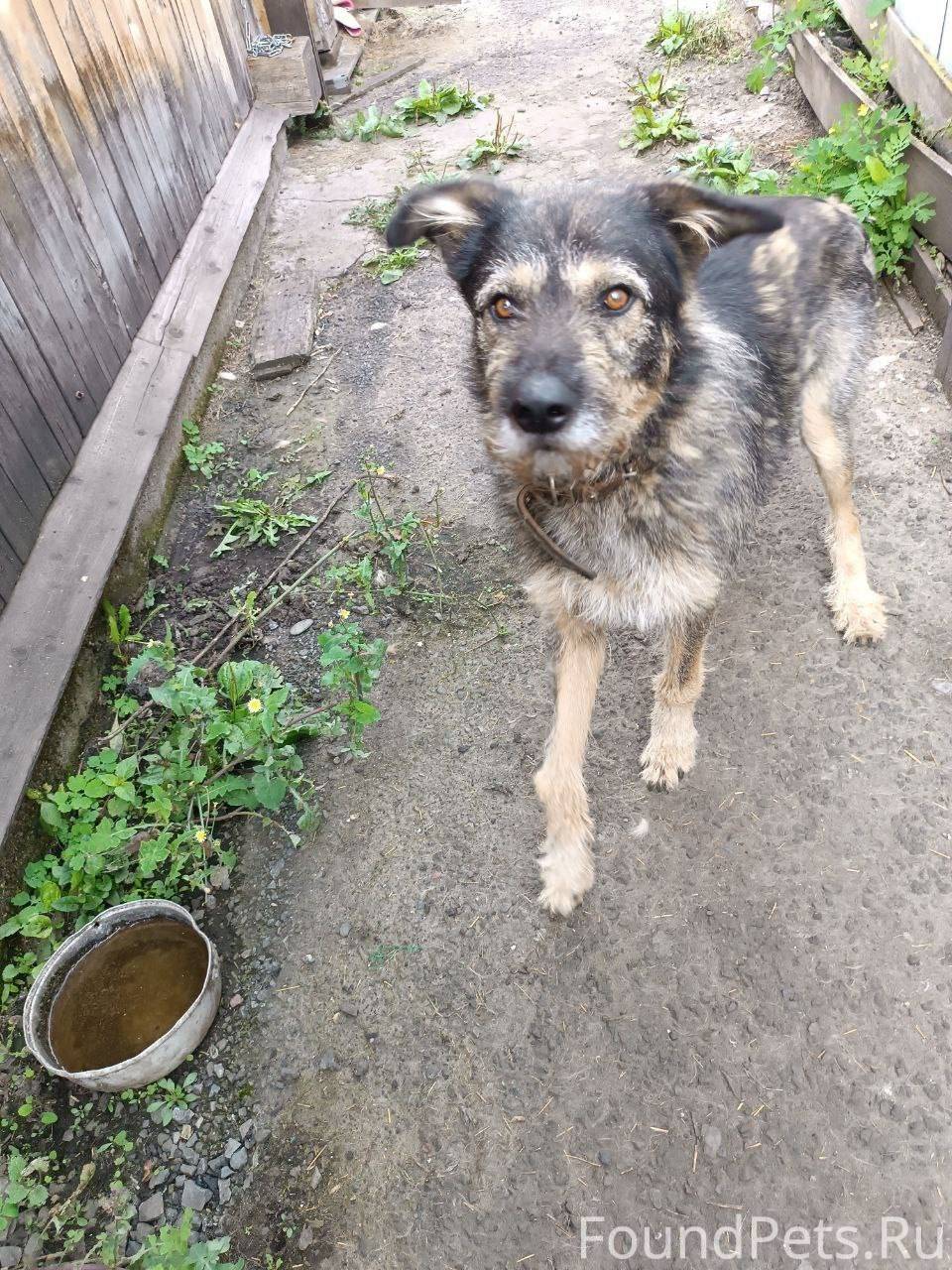 По маршруту Курагино-Минусинск...