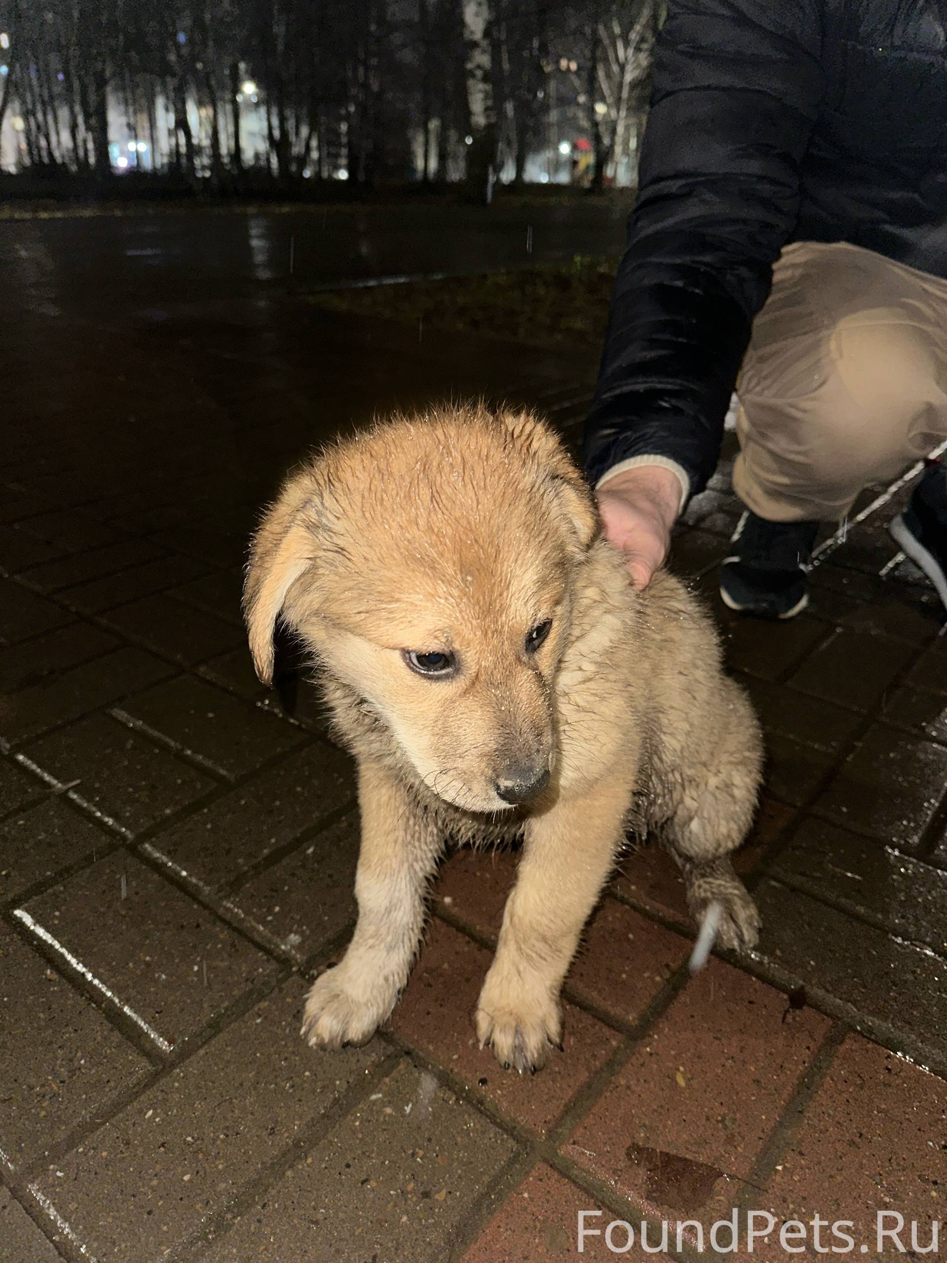 Поздно вечером 7 декабря в пар...
