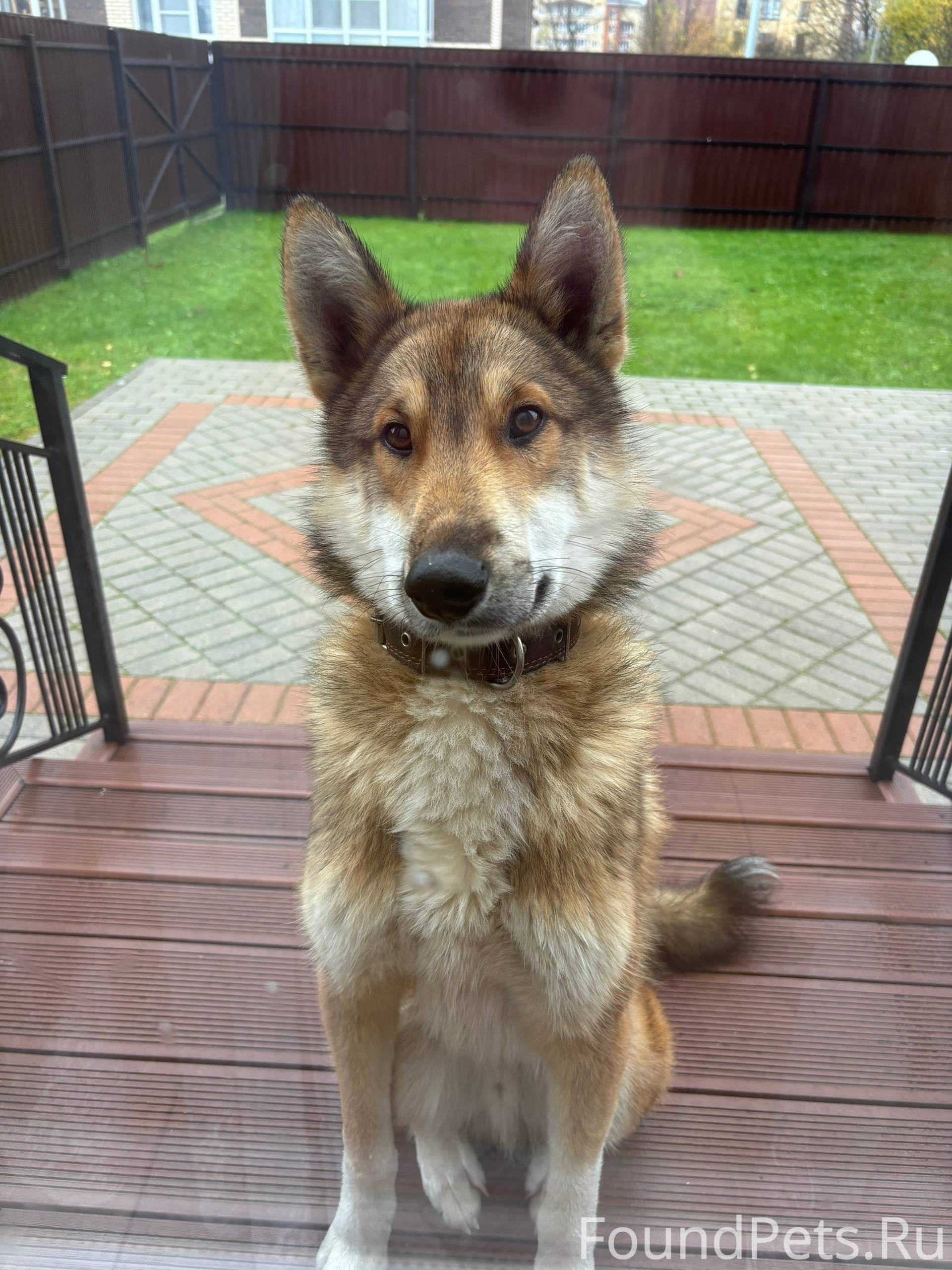 СРОЧНО 🚨 НУЖНА ЛЮБАЯ ИНФОРМАЦИ...