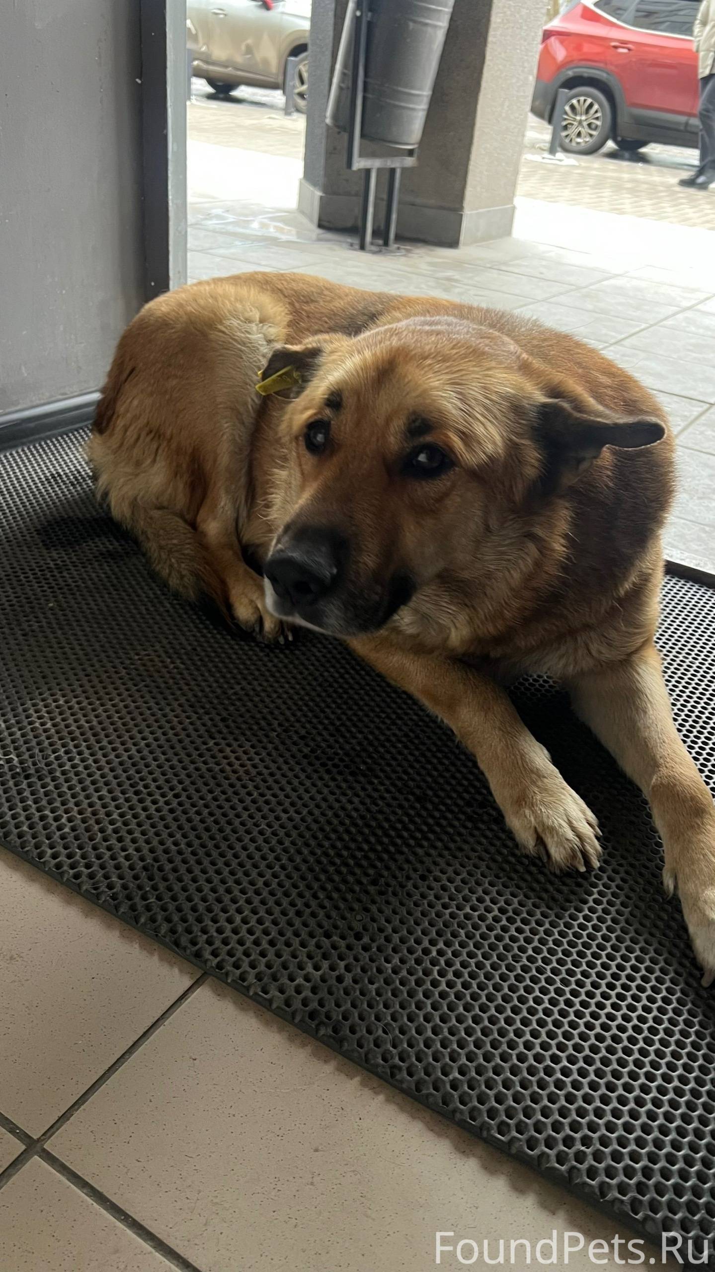 Два дня подряд (10.11 и...