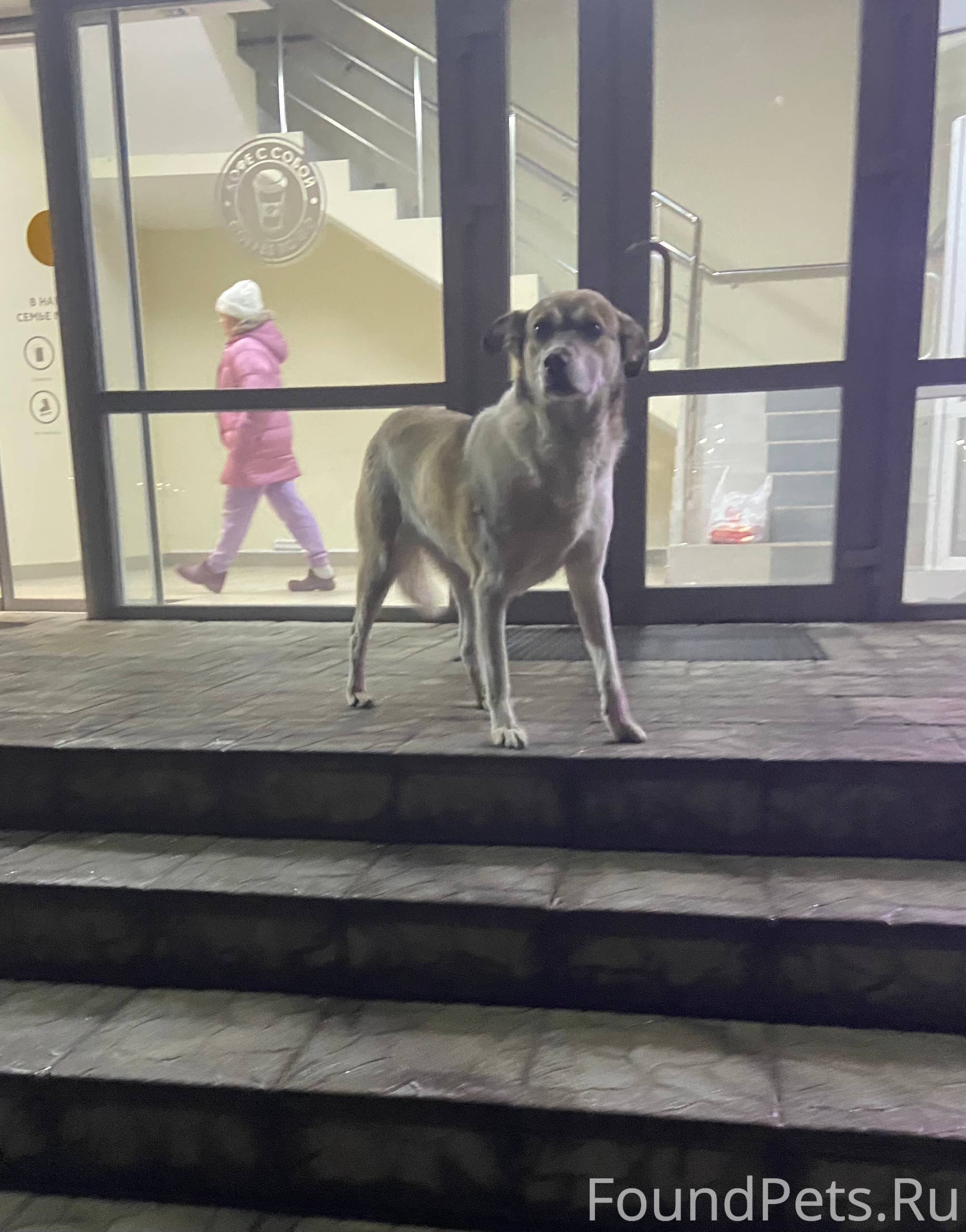 SOS! В Сафоново, Шоссейная с21...