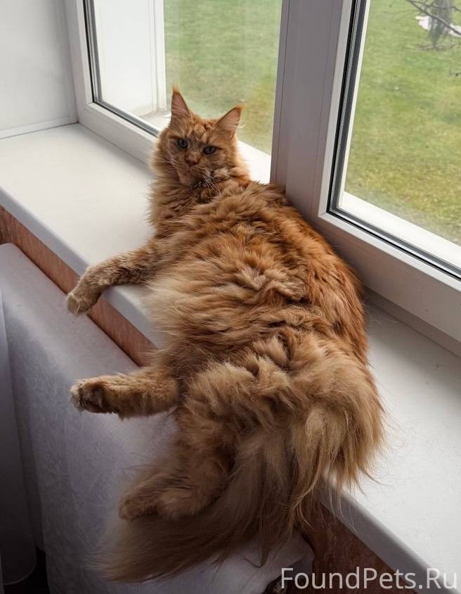 Добрый день, опубликуйте пожал...