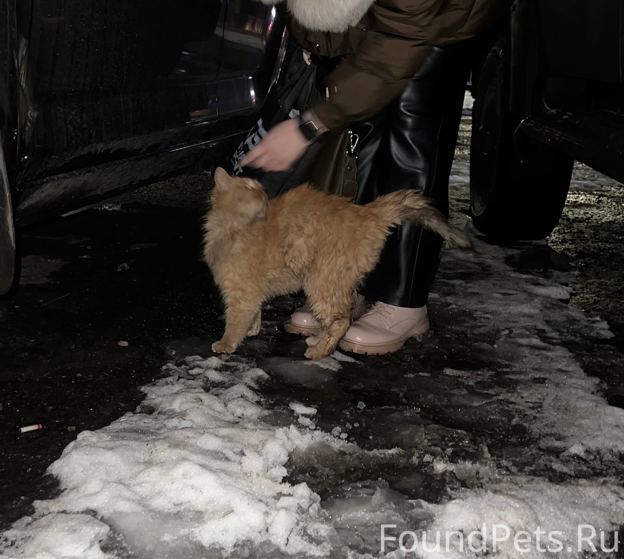 В районе 29 лицея возле «Танка...