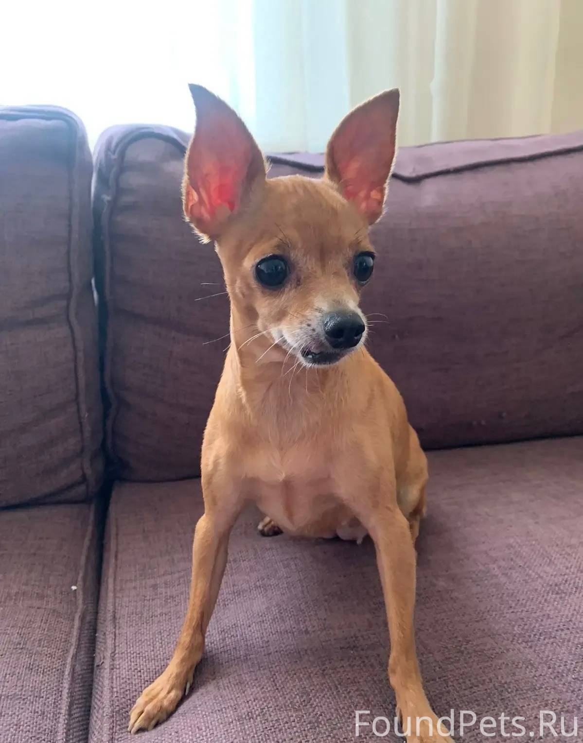 ПОИСК https://vk.com/lesnevska...