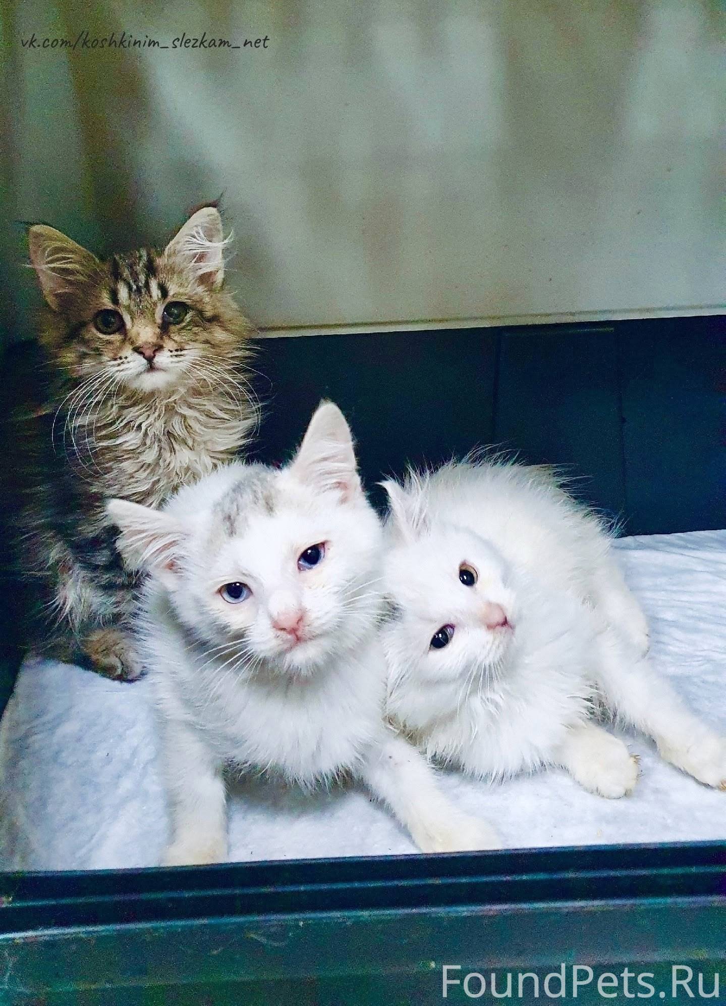 ❤️ВОЛГОГРАД И ДРУГИЕ ГОРОДА! М...