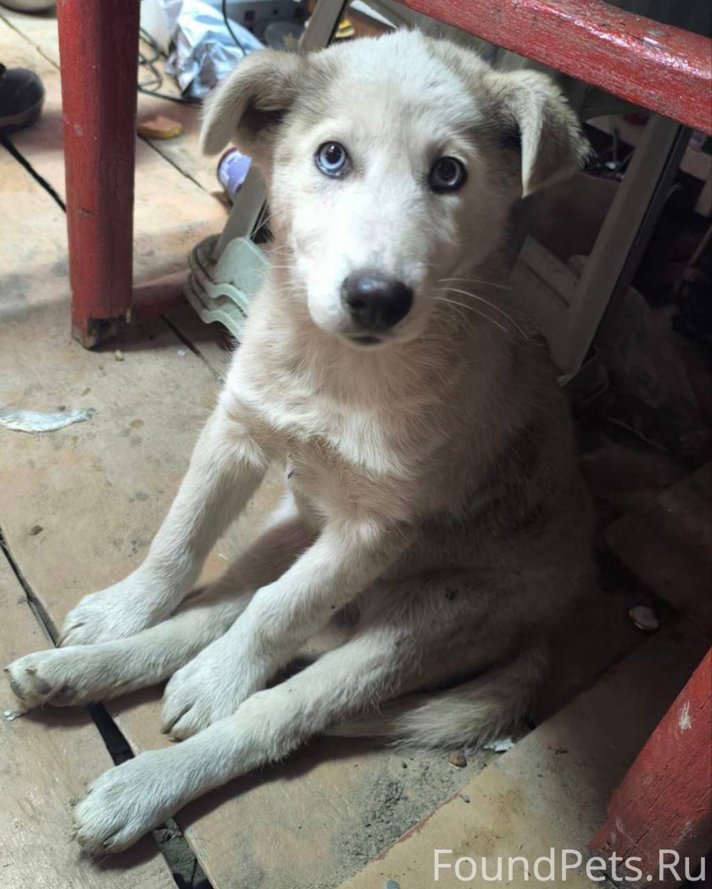 Помогите, пожалуйста! Пропал щ...