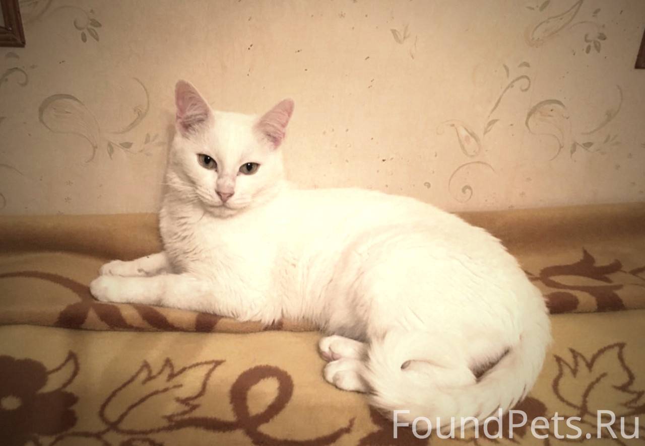 Москва и Московская область! Б...