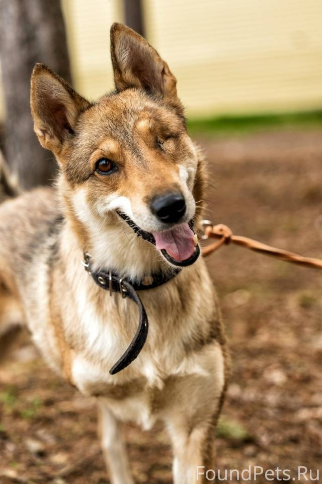 НАЙДА💔Очень надеемся,что мы в ...