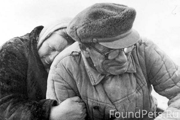 Приглядитесь внимательно. Вот ...