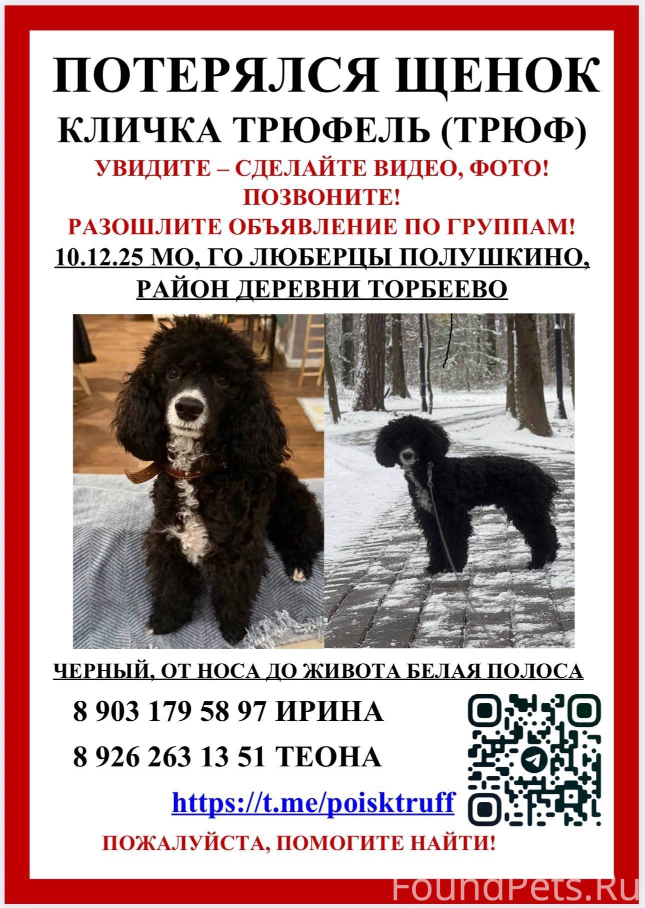 Максимальный репост прошу! У м...