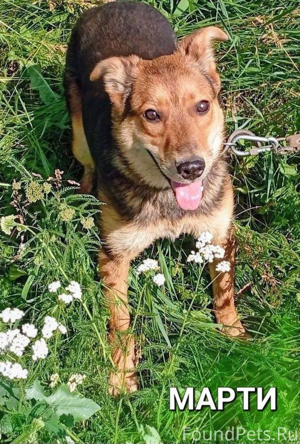 ‼️МАРТИ. НАЙДЕТ ЛИ ОНА СВОЕГО ...