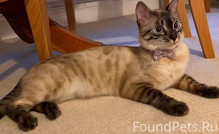 ПРОДОЛЖАЕМ ПОИСК !!! 12.10 в с...