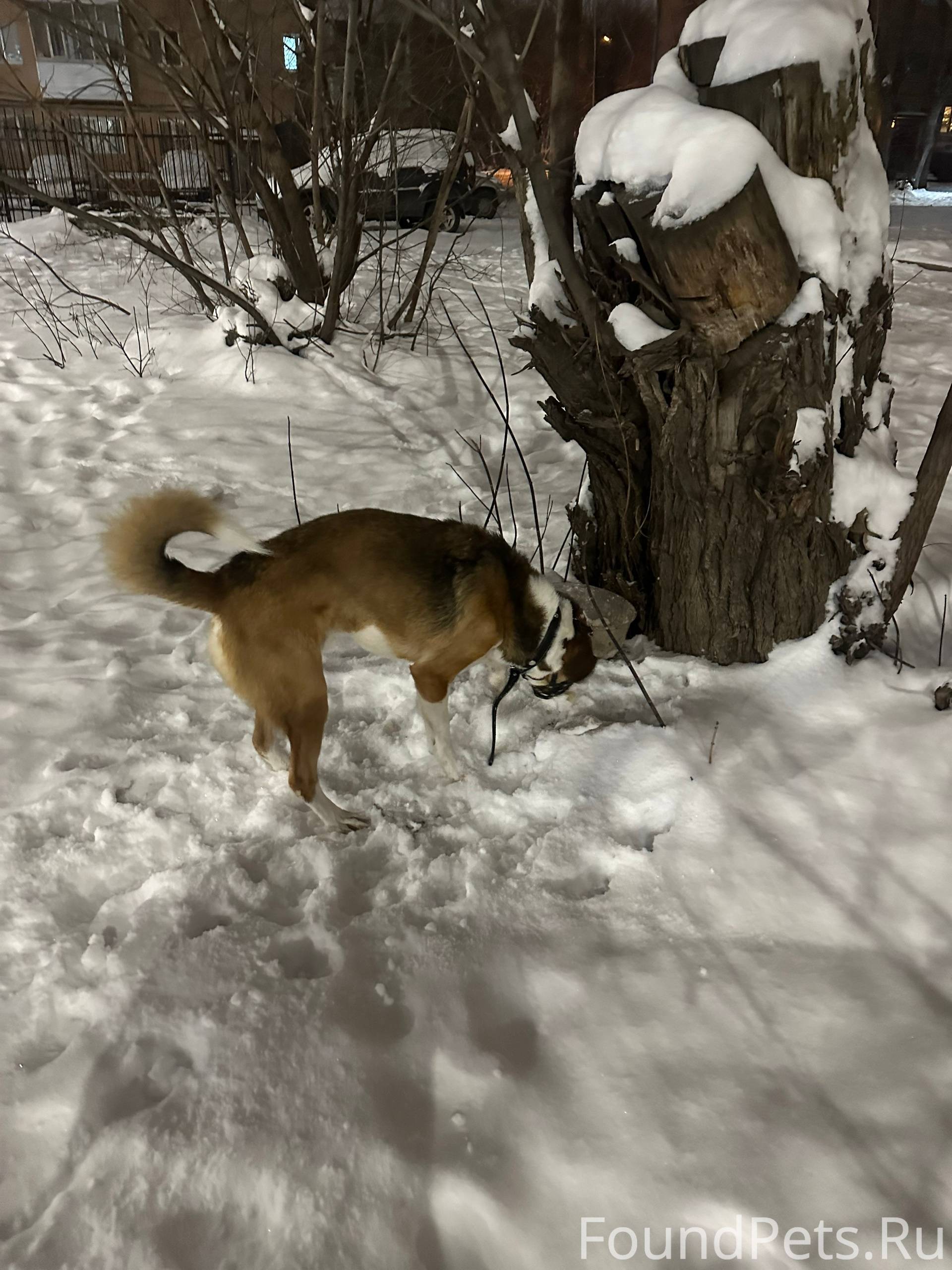 Сегодня, 12.12.25 примерно в.....