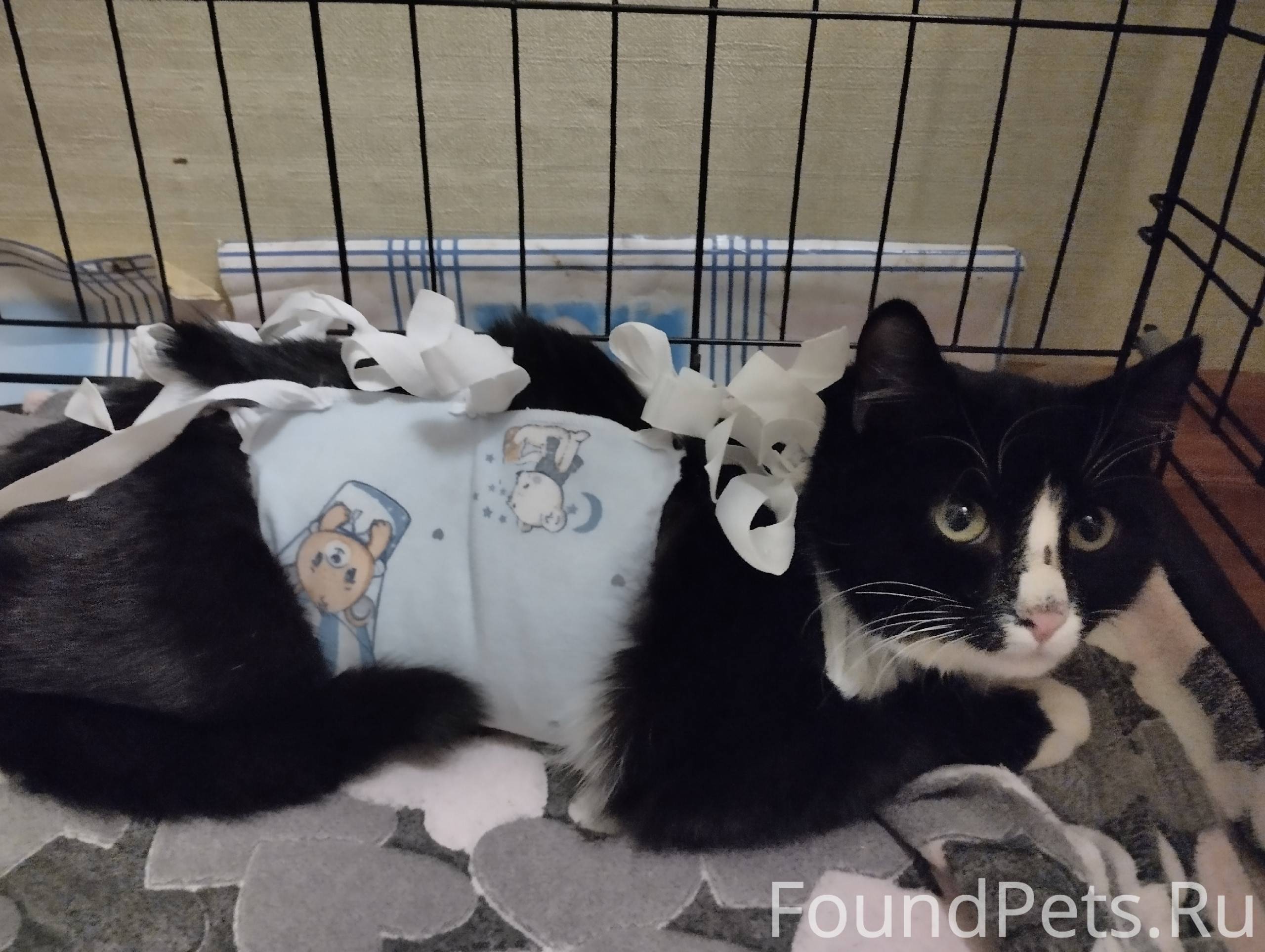 В Коряжме в районе стоматологи...