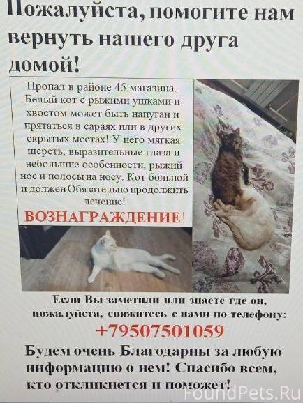 Здравствуйте! Помогите найти к...