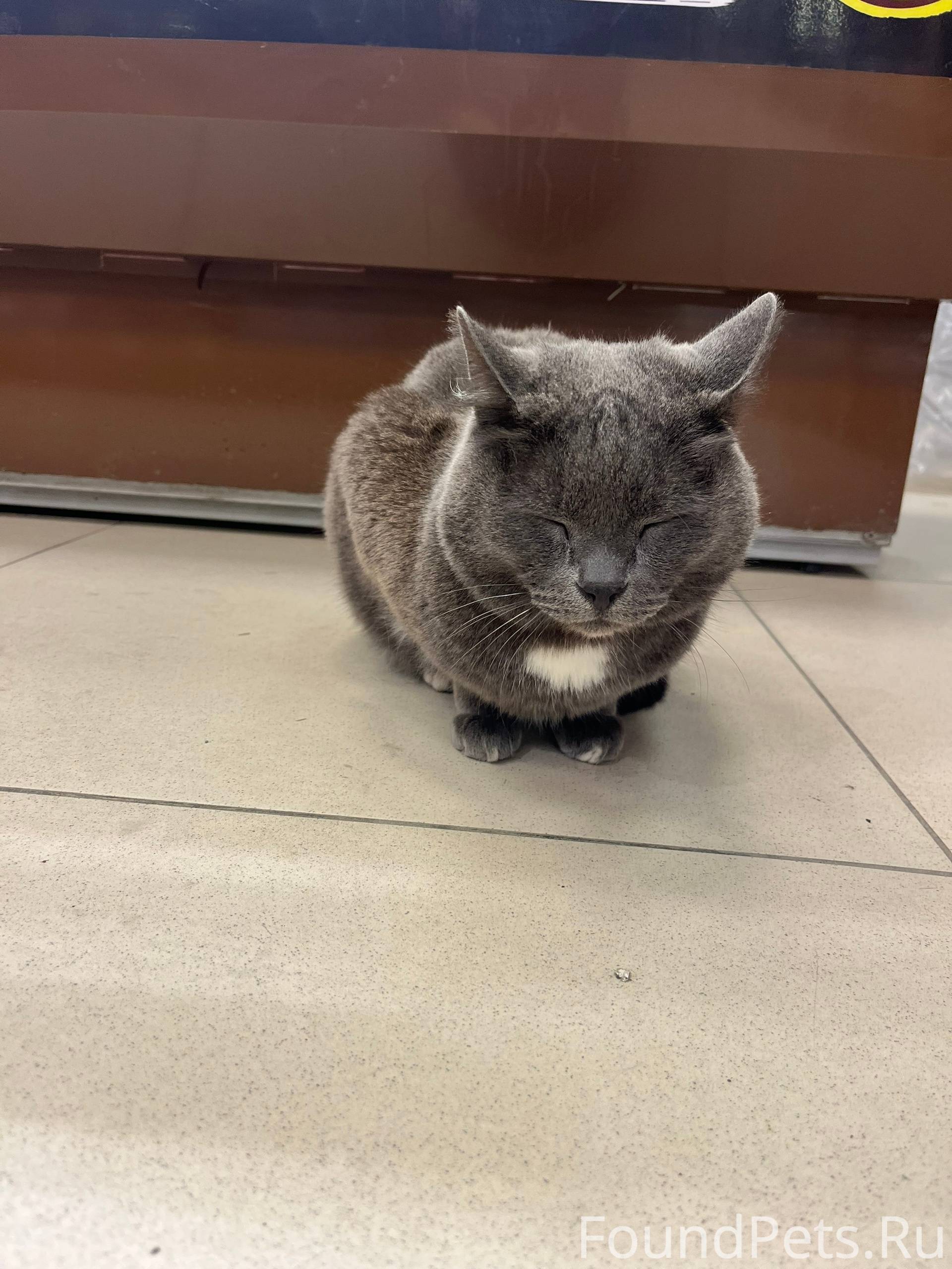 Хозяин, найдись! 6 декабря при...