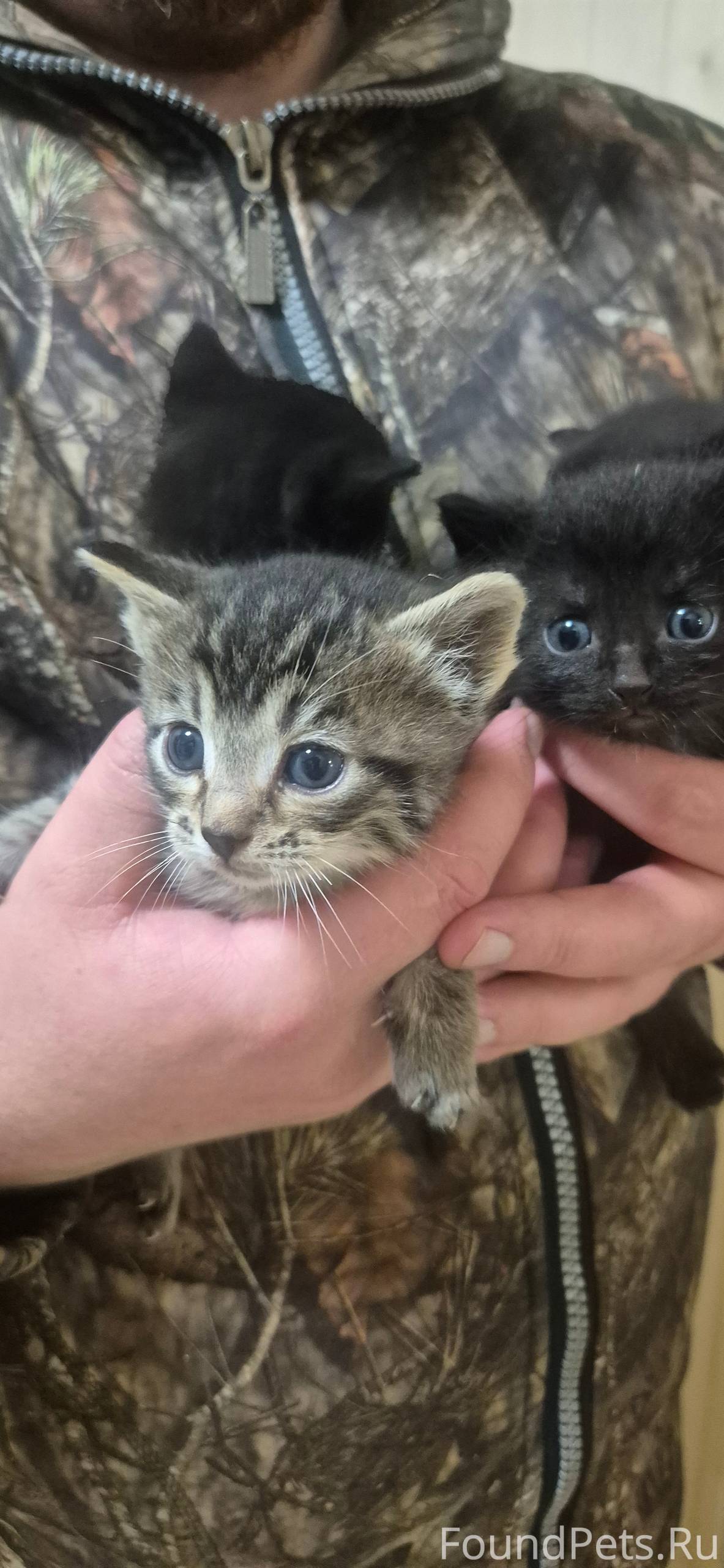 В начале этого года нам отдали...