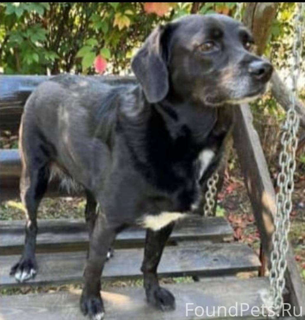 *ВОЗНАГРАЖДЕНИЕ 100 000 нашедш...