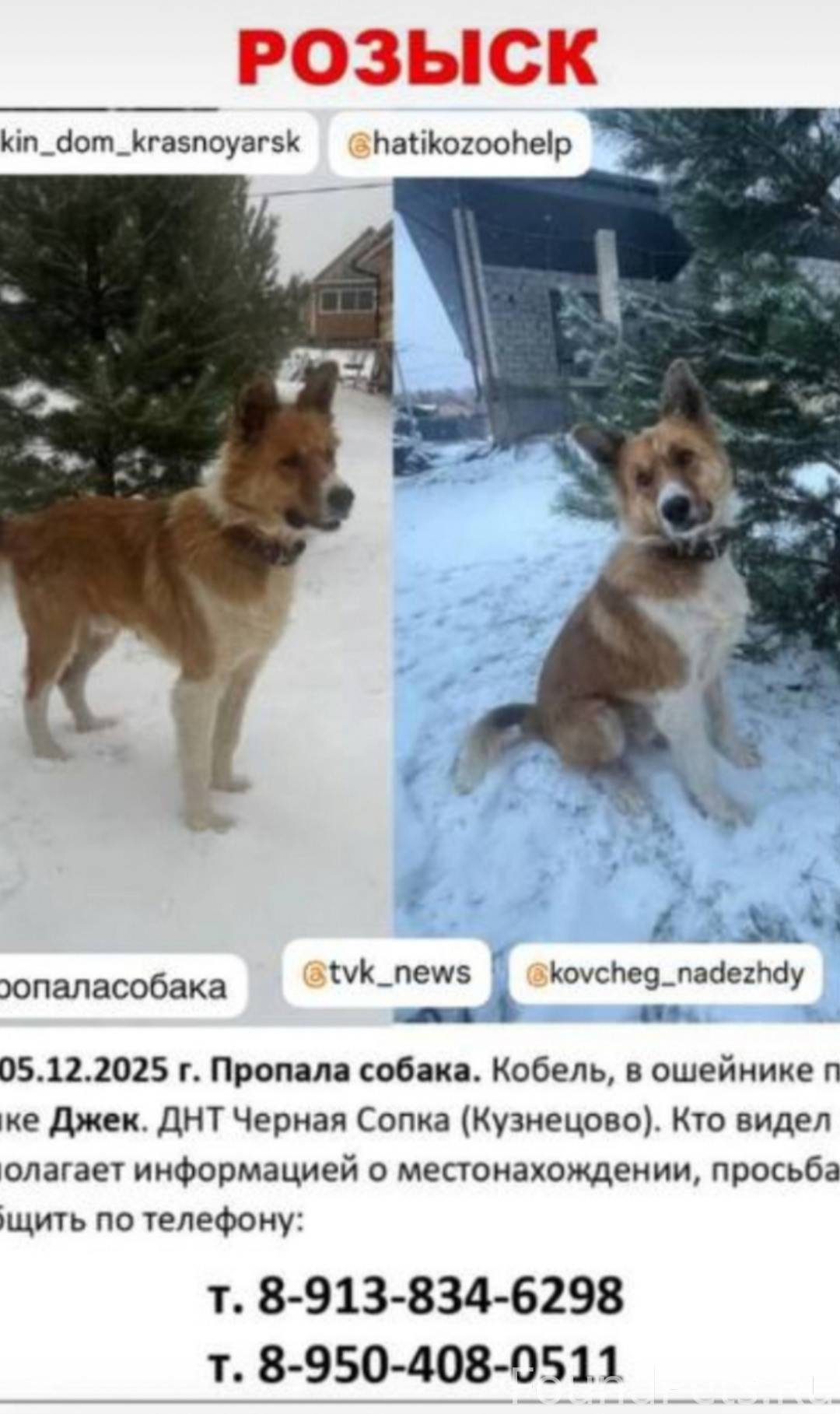 ❗потерялся коллега Апреля с их...