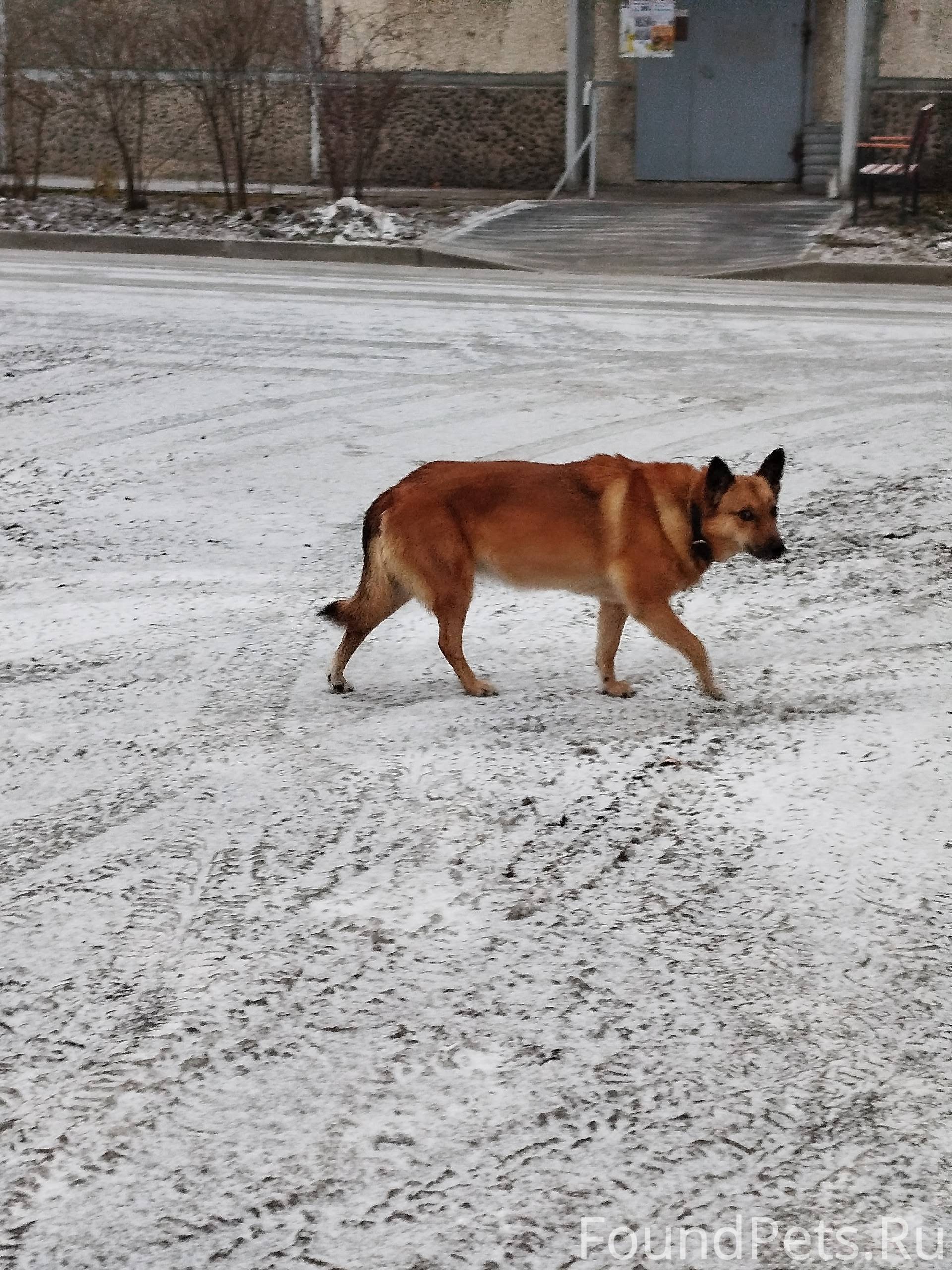 ЗАМЕЧЕН на РЕПНИКОВА https://v...