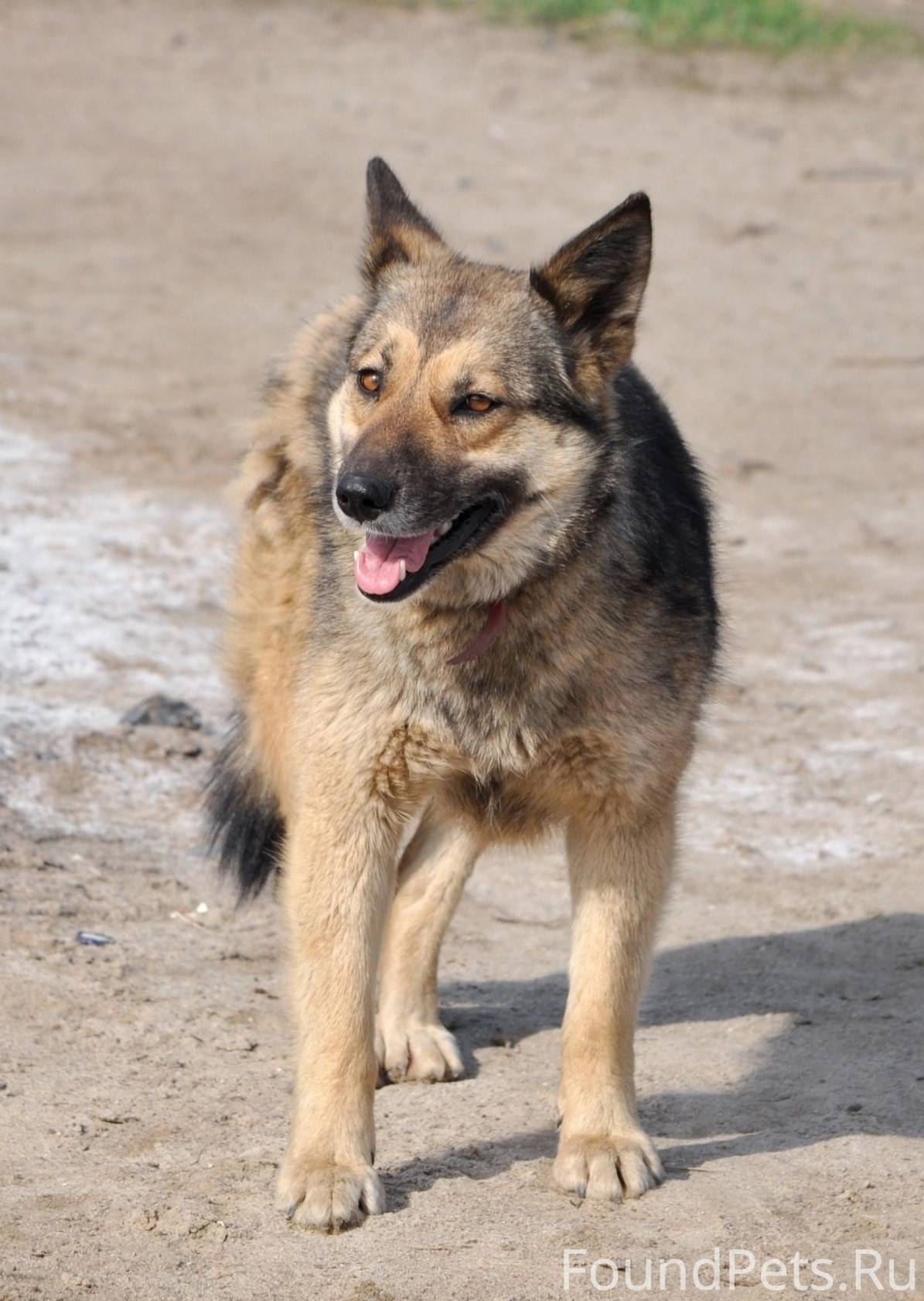 Вчера , во время взрывов убежа...