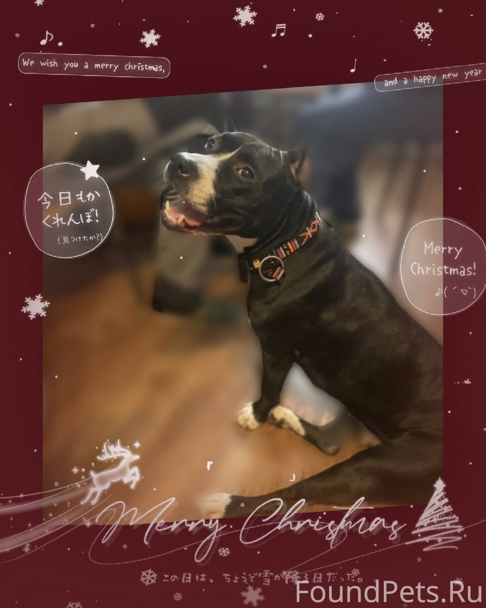 Ищeт дом, потряcающая Цера💕 На...