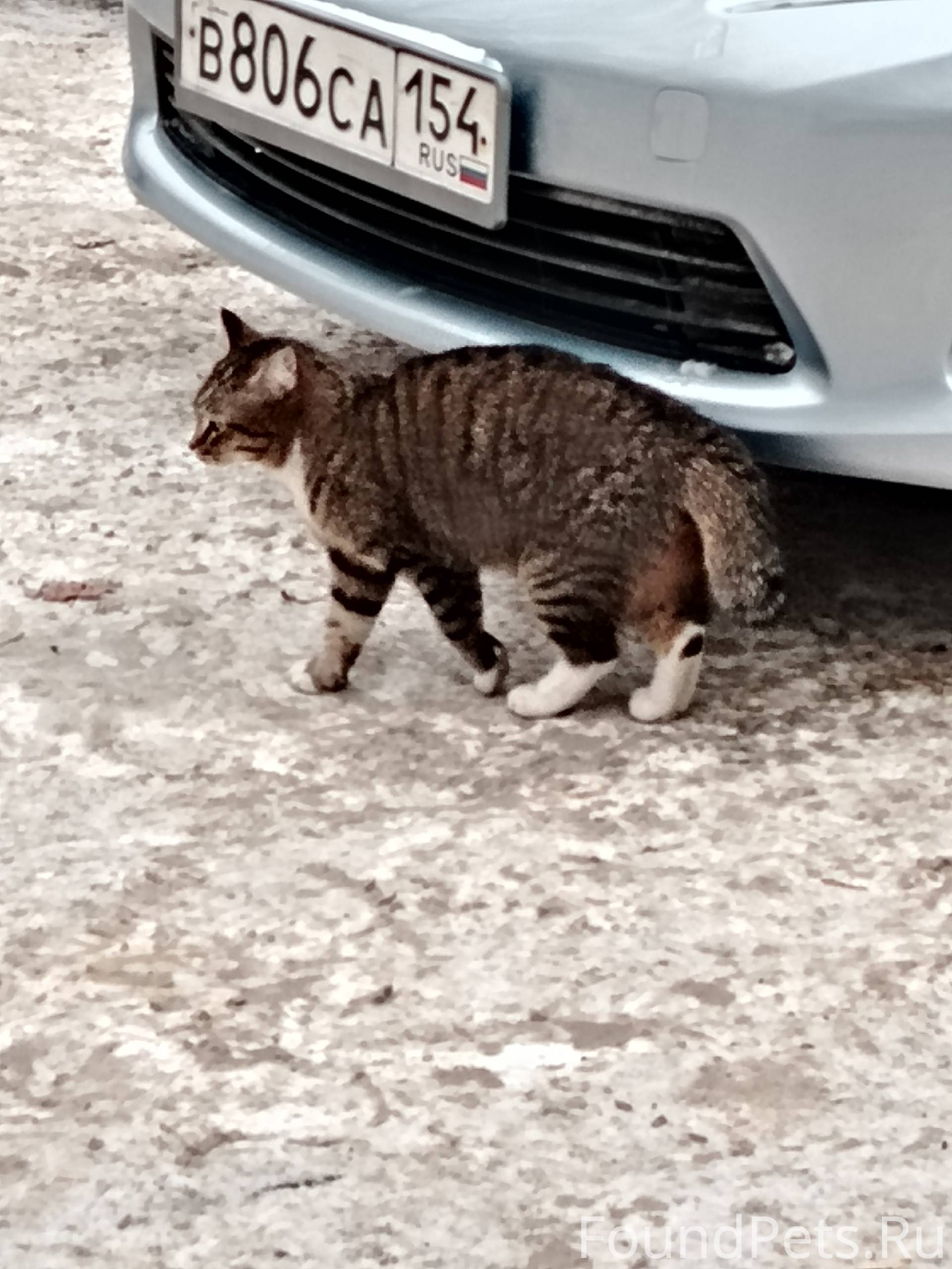 Заельцовский район. Улица Кроп...