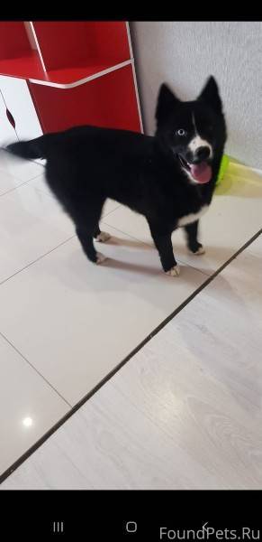 +79178013271 Срочно Вчера Проп...