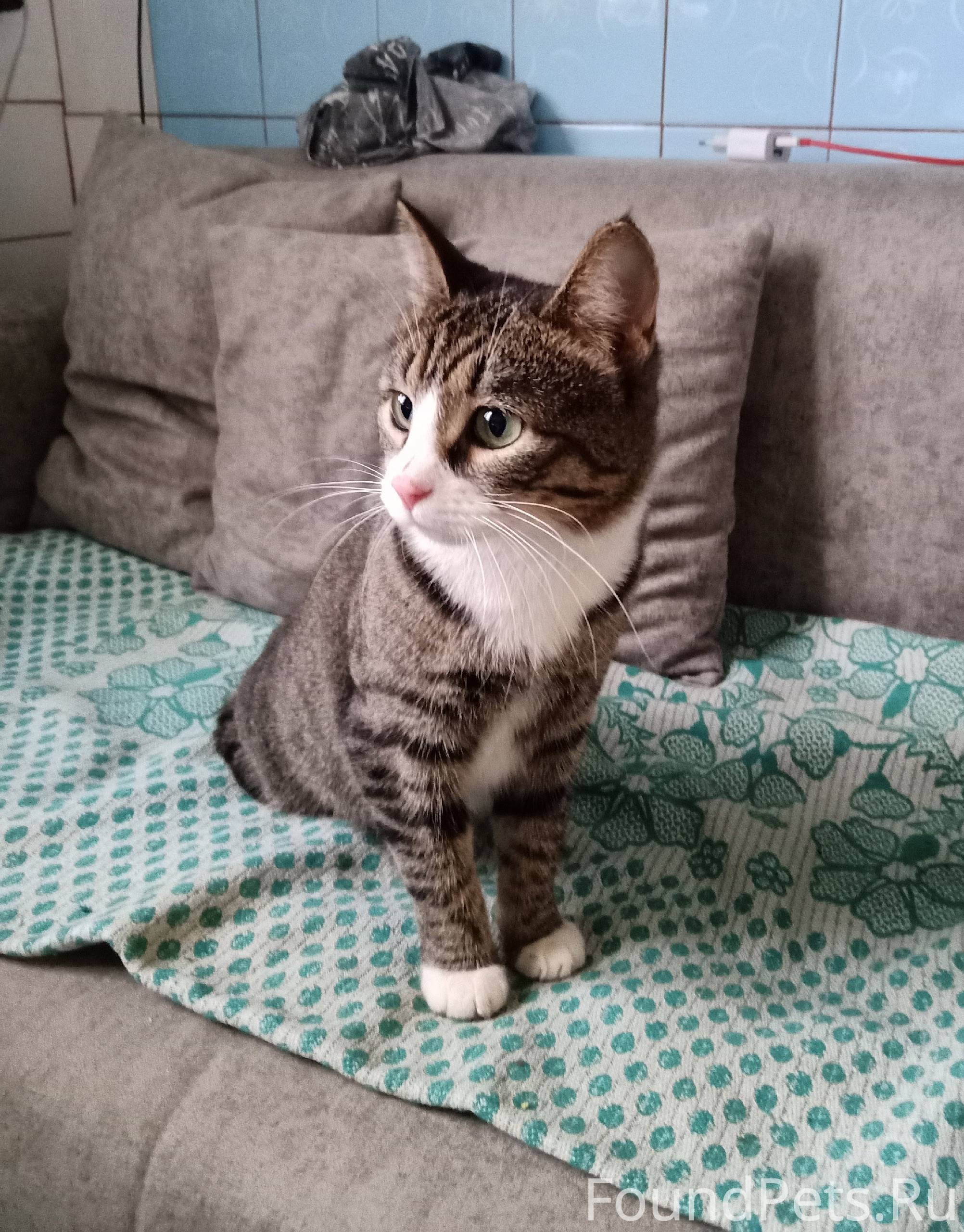 Ищем старых или новых хозяев м...