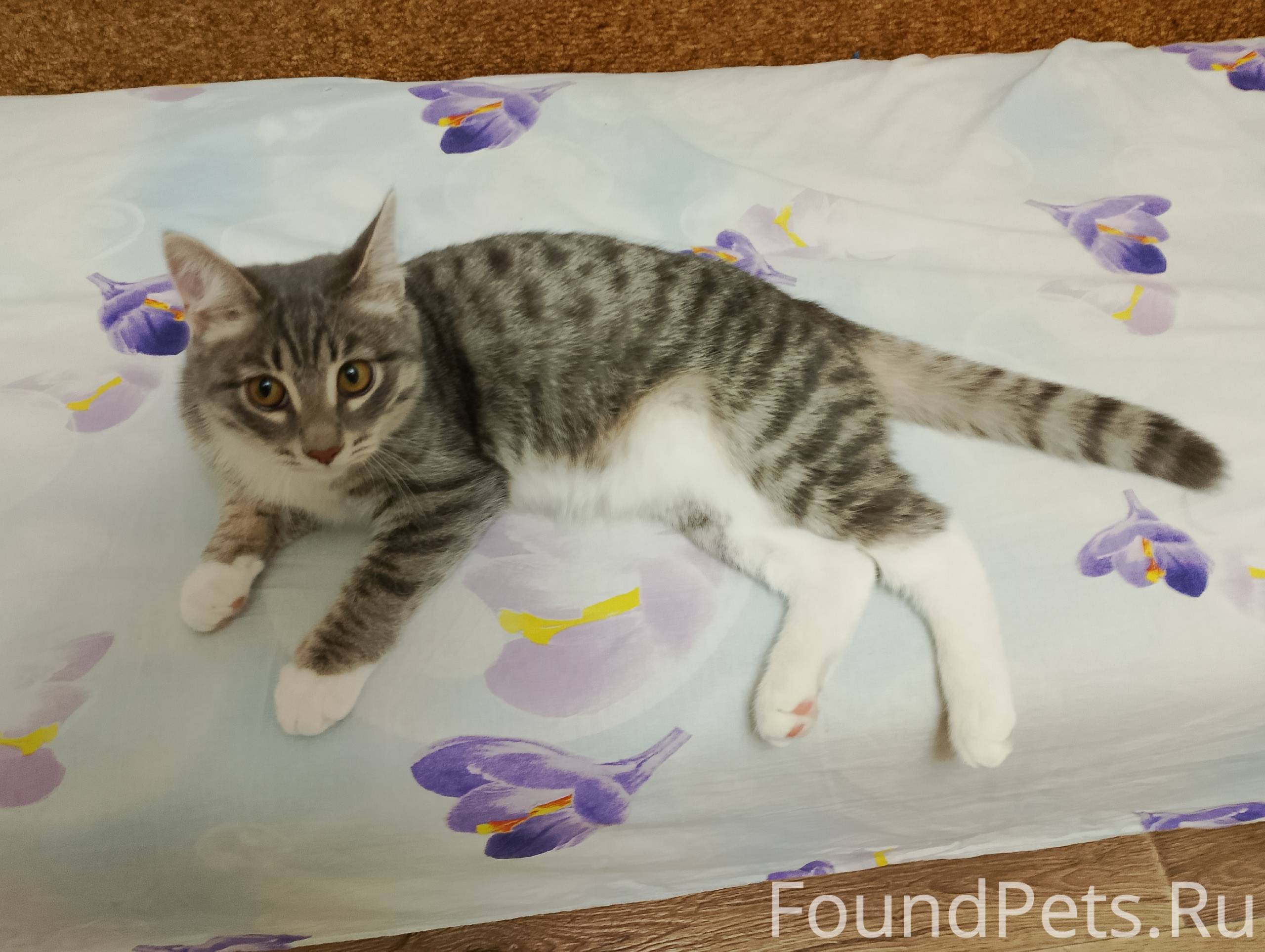 Срочно,ищем добрых и ответстве...