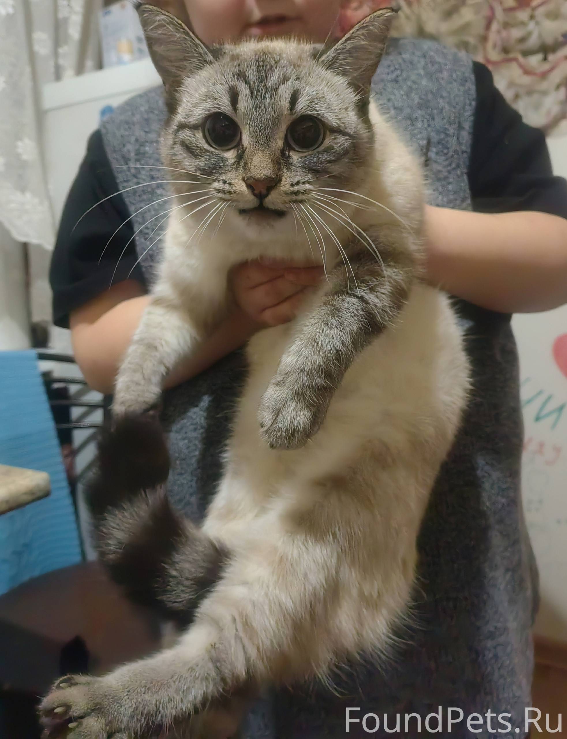 ❗🐈Во дворе на Строителей, 5, н...