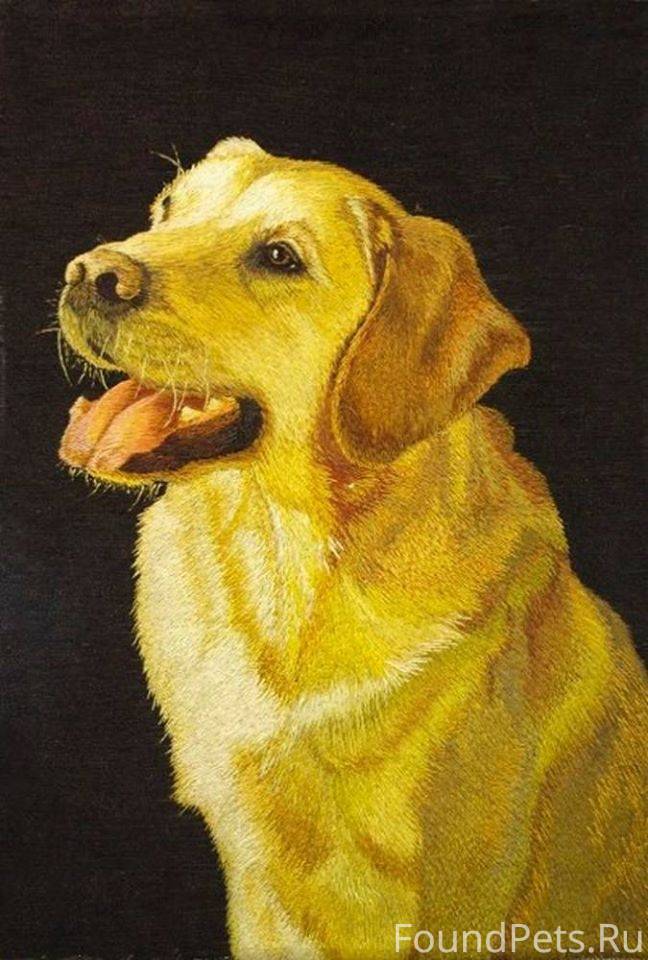 РУЧНАЯ ВЫШИВКА-ГЛАДЬ ШЕЛК Виси...