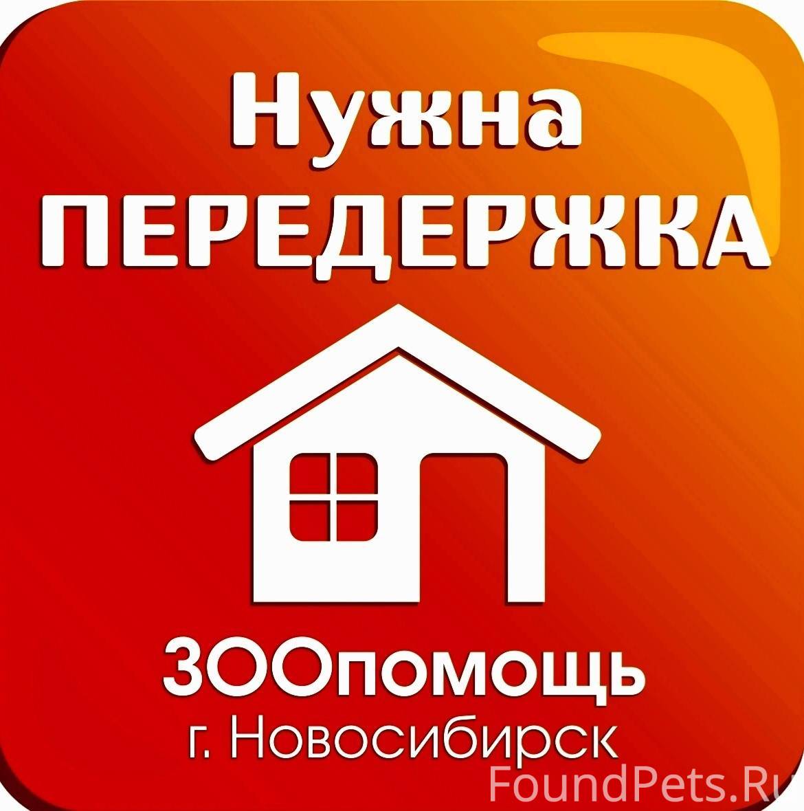 Здравствуйте , в Ленинском рай...