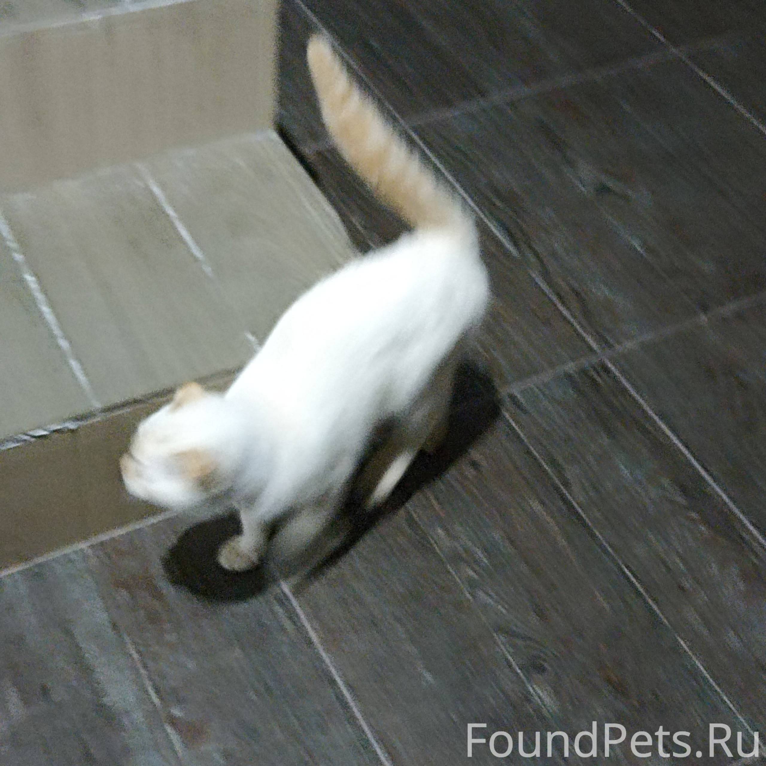 На улице О. Кошевого,17 появил...