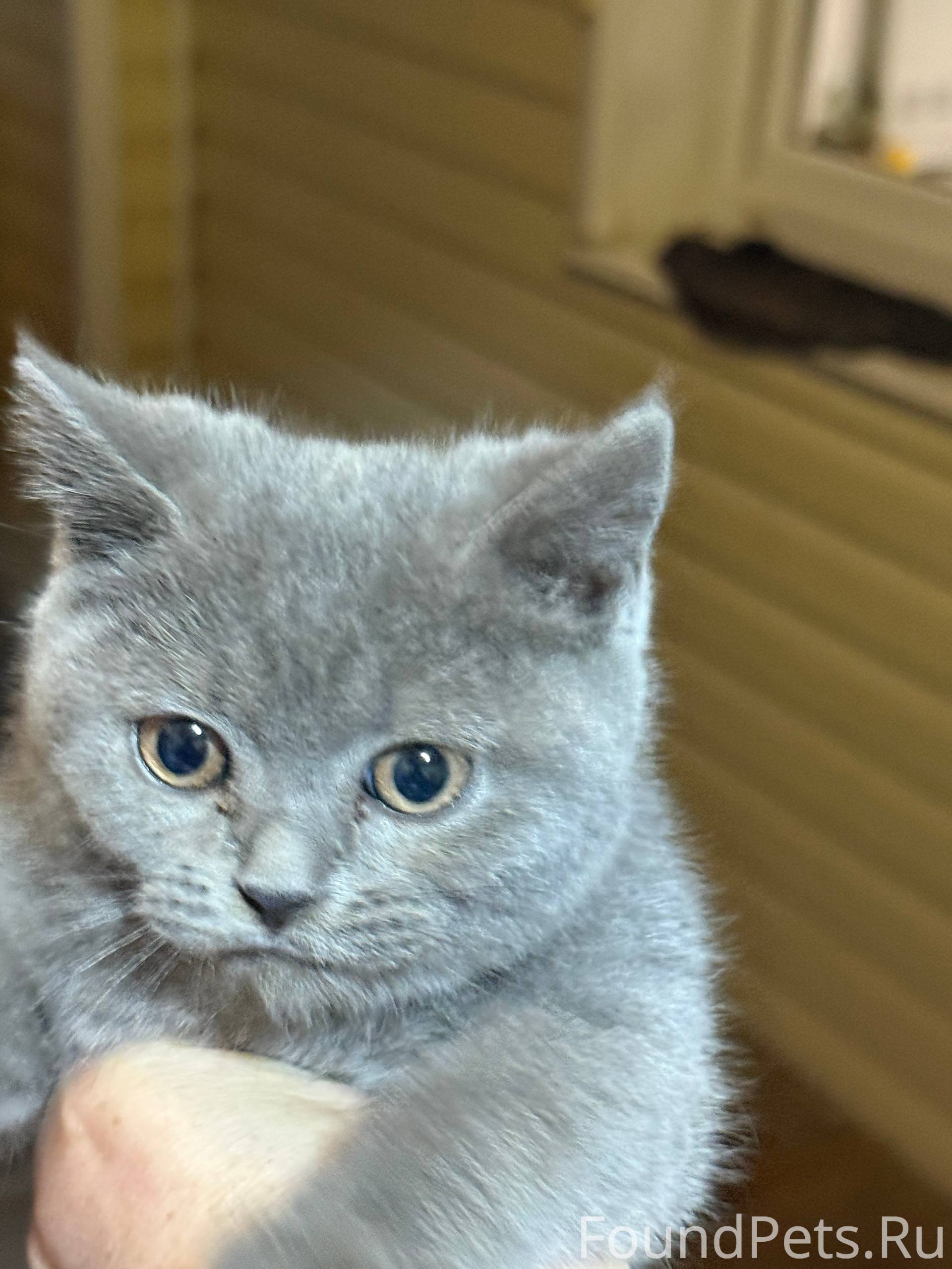 Посмотрите пожалуйста чей поте...