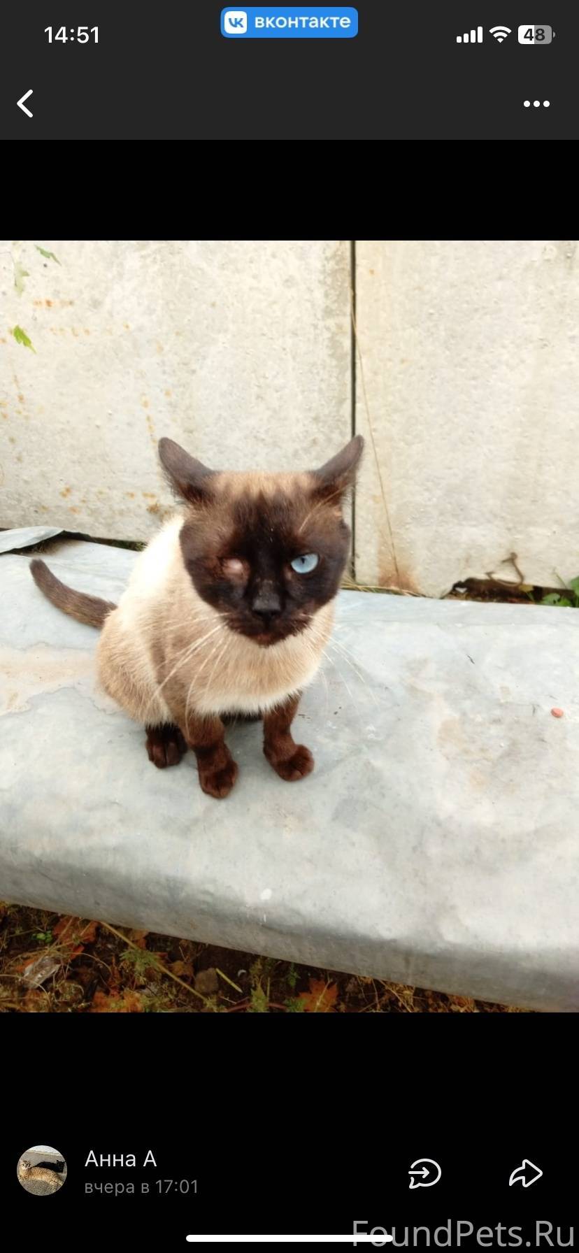 Воронеж. Ищет дом вот такой кр...