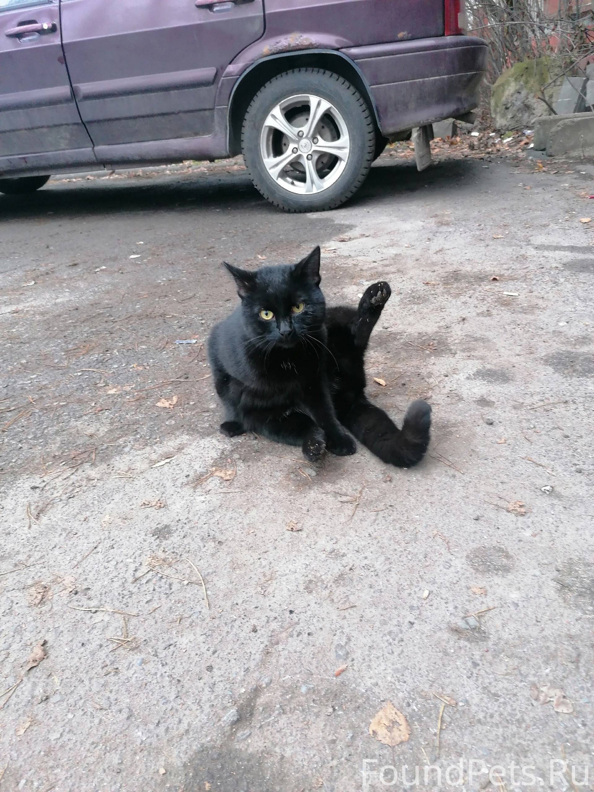 04.12.2025 15:18 Район...