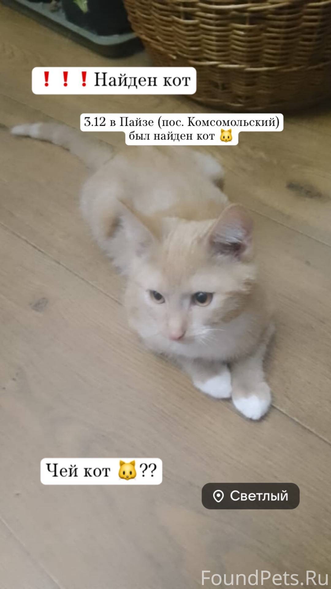 ❗️❗️❗️❗️❗️ Добрый день! Найден...