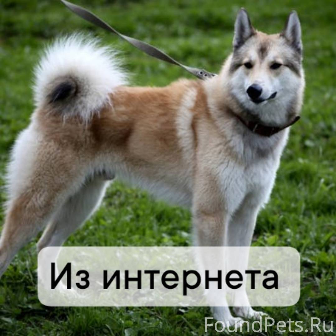 📍р.п. Колывань 03.12.2025...